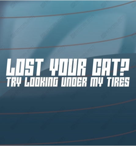 Lost your cat?
